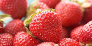 Sprzedaż truskawki i maliny deserowej