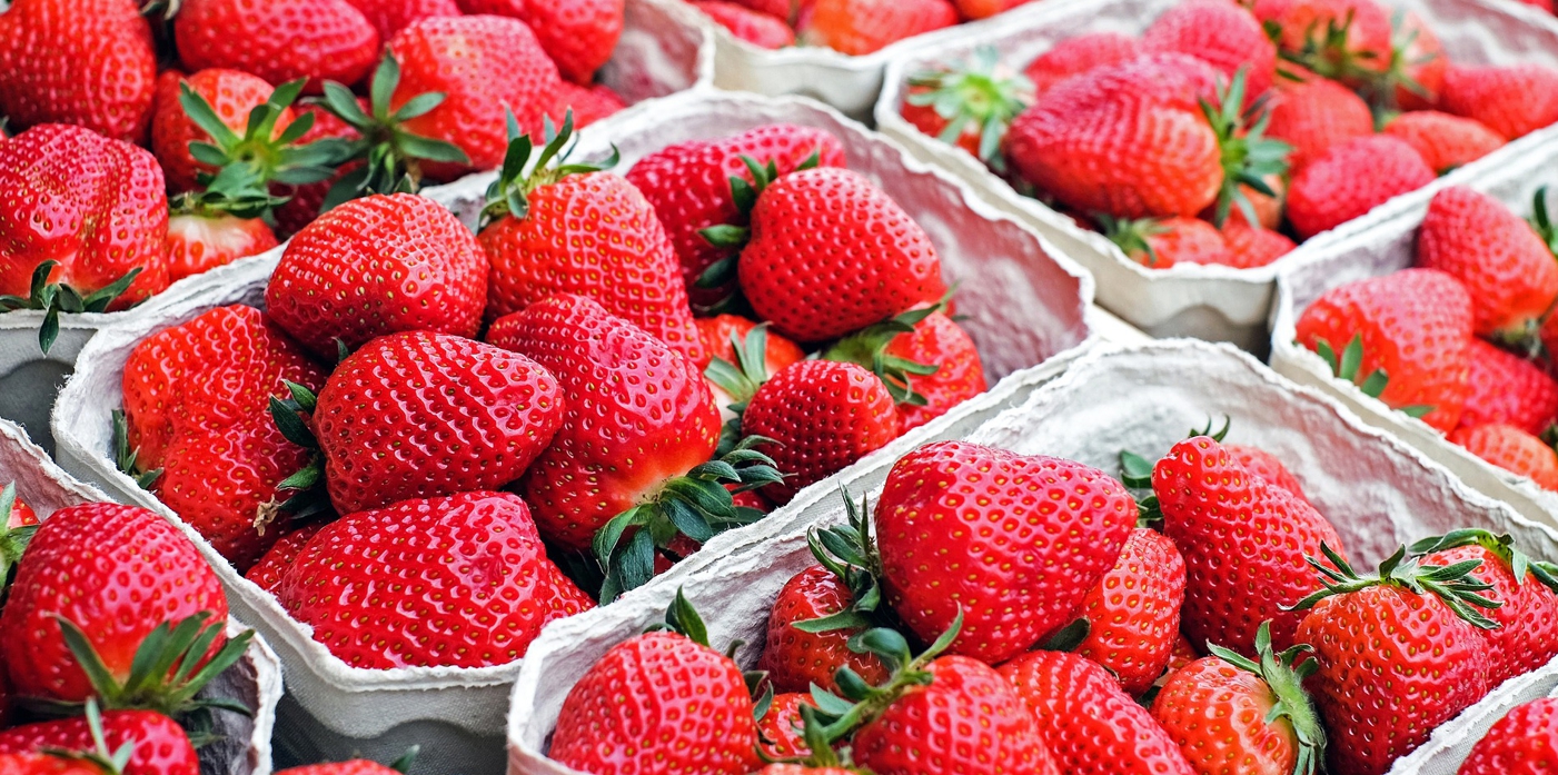 Sprzedaż truskawki i maliny deserowej
