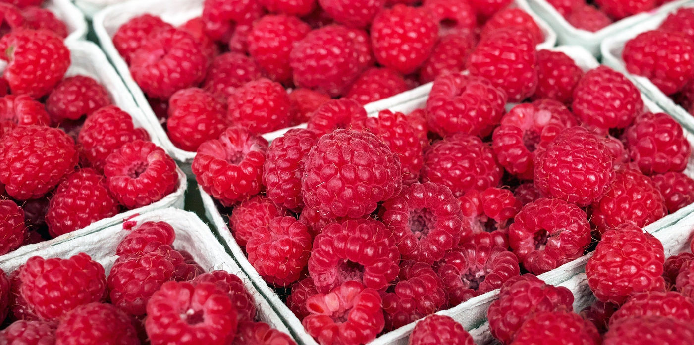 Sprzedaż maliny deserowej mazowieckie